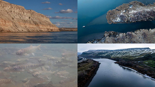 Columbia at a Crossroads: Fish wars, dam removal and climate change on Explore Videos Page Columbia at a Crossroads: Fish wars, dam removal and climate change