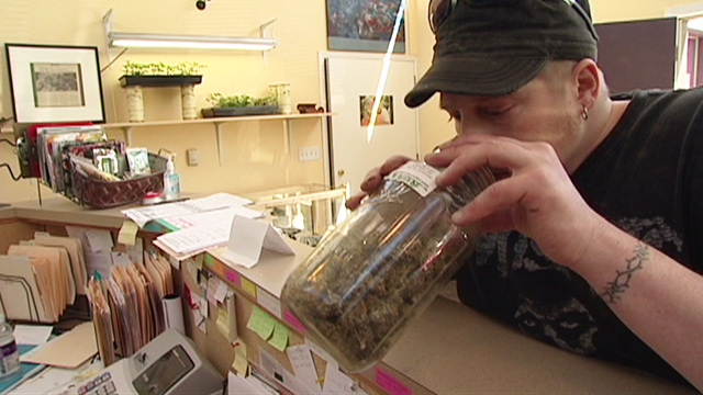 City Inside/Out Local Issues: Marijuana Merger