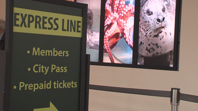 CityStream: Library Perks