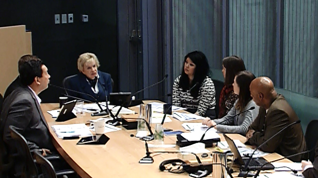 Parks, Seattle Center, Libraries, and Gender Pay Equity Committee 2/3/15