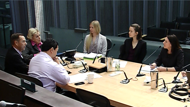 Parks, Seattle Center, Libraries, and Gender Pay Equity Committee 2/20/15