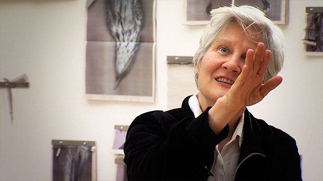 Art Zone: Ann Hamilton