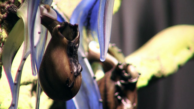 Art Zone: Debora Moore