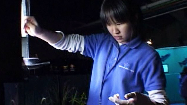 Community Stories: Aquarium Kids