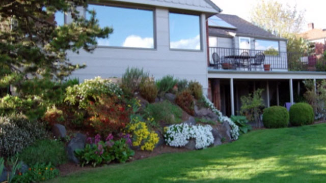 CityStream: Rain Gardens