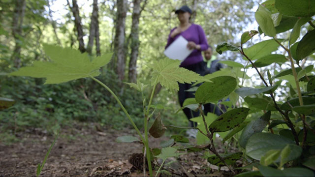 CityStream: Hiking & History 7/30/15