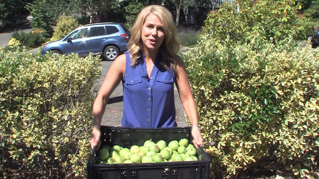 CityStream: City Fruit 7/30/15