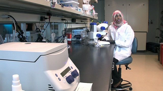 CityStream: Mayor’s Youth Employment Initiative 8/20/15