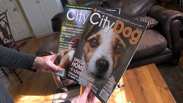 CityStream: City Dog Magazine