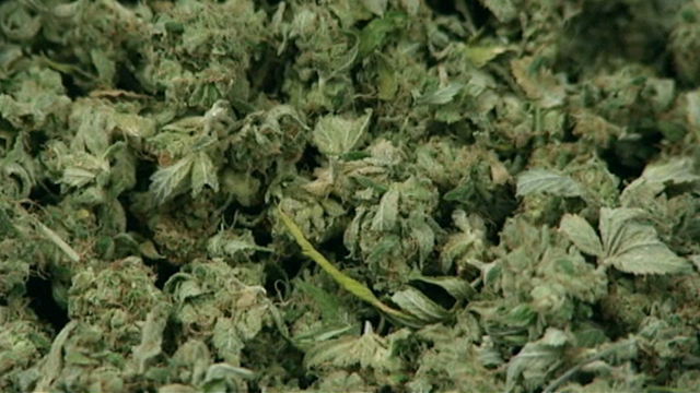 City Inside/Out Local Issues: Marijuana delivery
