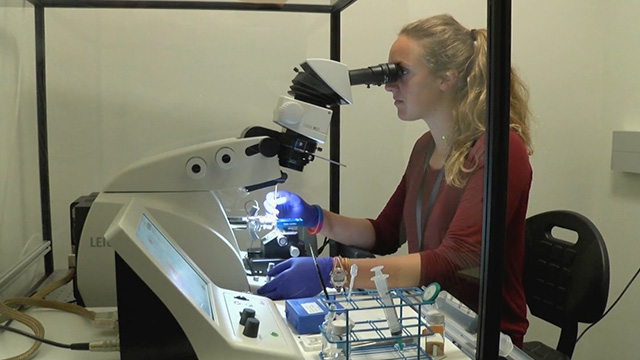 CityStream: Brain Injury Alliance of Washington & Allen Institute