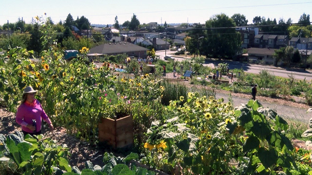 CityStream: Urban Landscapes 9/22/16