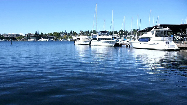 CityStream: Making Waves