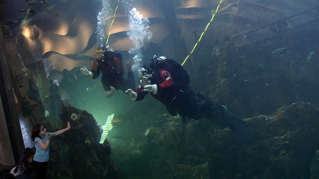 CityStream: Floating & Fixing