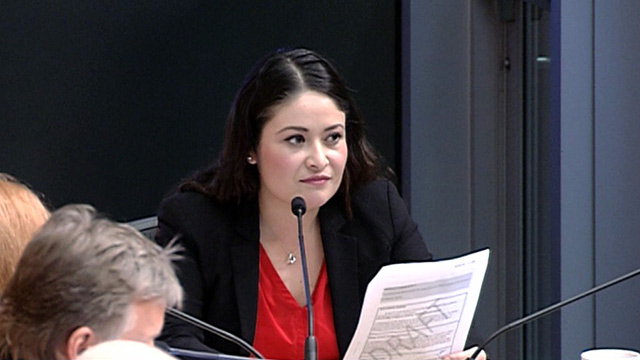 Gender Equity, Safe Communities & New Americans Committee 4/6/17