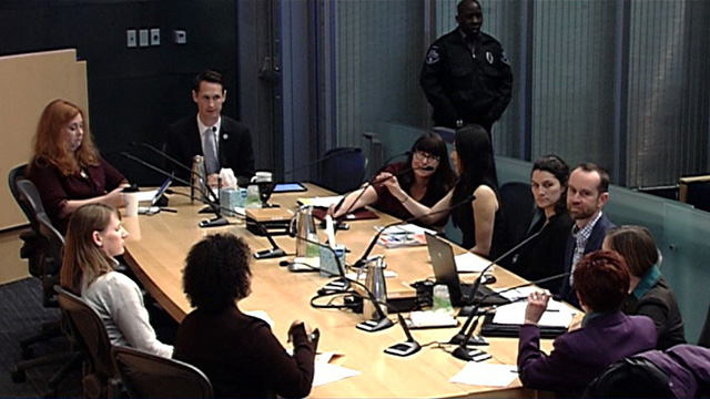 Planning, Land Use, and Zoning Committee Public Hearing 6/20/17