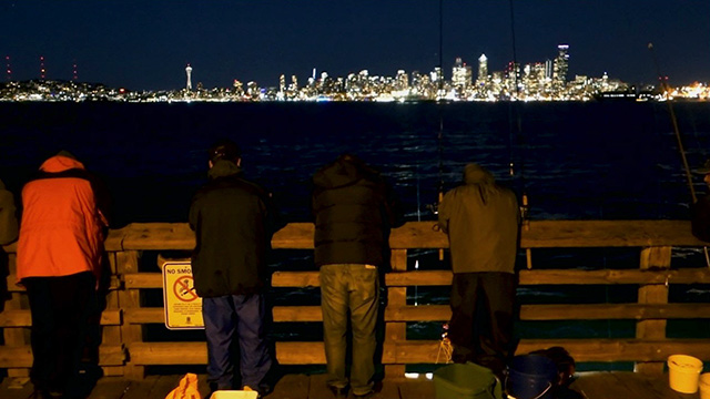 Squid jigging in Puget Sound Squid jigging in Puget Sound