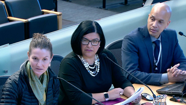 Gender Equity, Safe Communities, New Americans & Education Committee 3/28/18