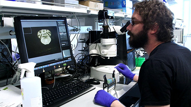 CityStream: Brain Trauma & Disaster Class