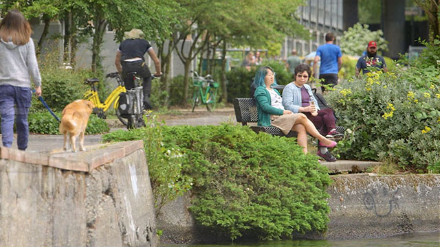 CityStream: Looking Back on the Burke-Gilman Trail 