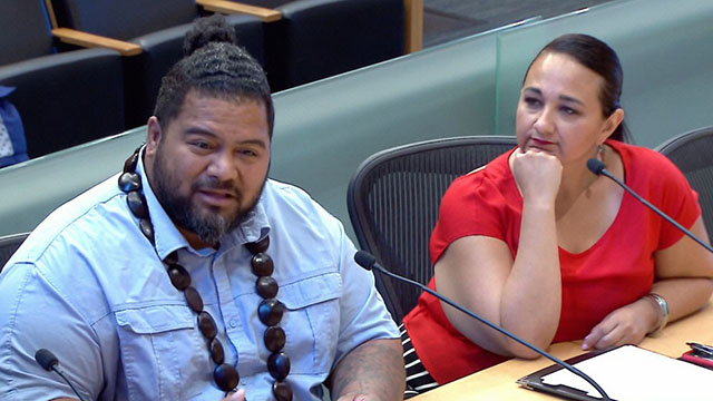 Gender Equity, Safe Communities, New Americans & Education Committee 7/11/18