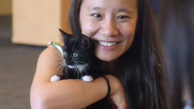 Furry Felines Transform City Hall to 'Kitty Hall'