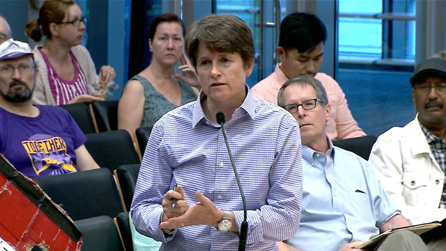 Planning, Land Use, and Zoning Committee Special Meeting Public Hearing 7/31/18