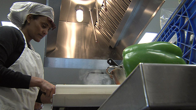 CityStream: Tilth Alliance