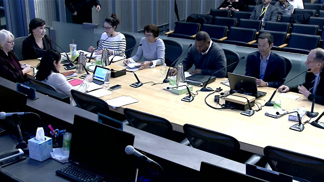 Civic Development, Public Assets, and Native Communities Committee 3/6/2019