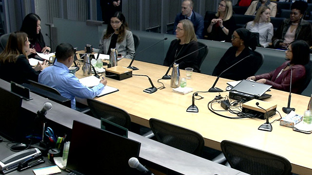 Gender Equity, Safe Communities, New Americans & Education Committee 4/24/19