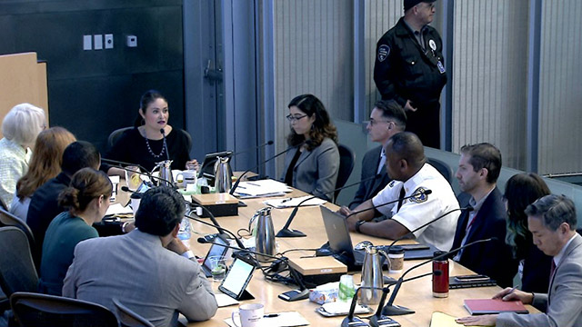 Gender Equity, Safe Communities, New Americans & Education Committee 5/8/19