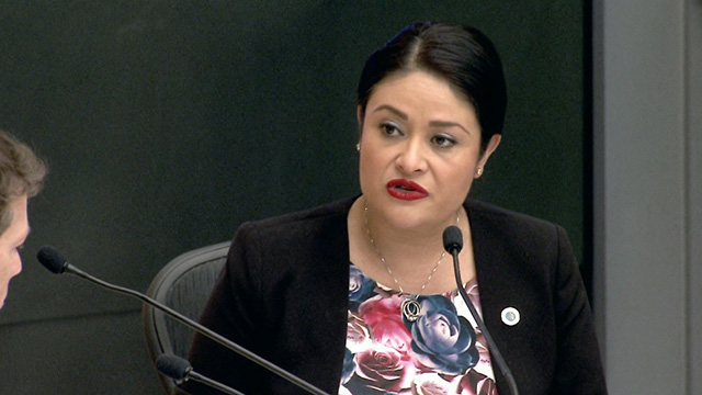 Gender Equity, Safe Communities, New Americans & Education Committee 12/19/19