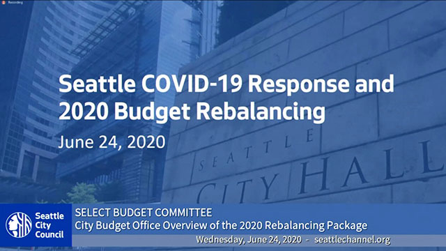 Select Budget Committee Session II 6/24/20