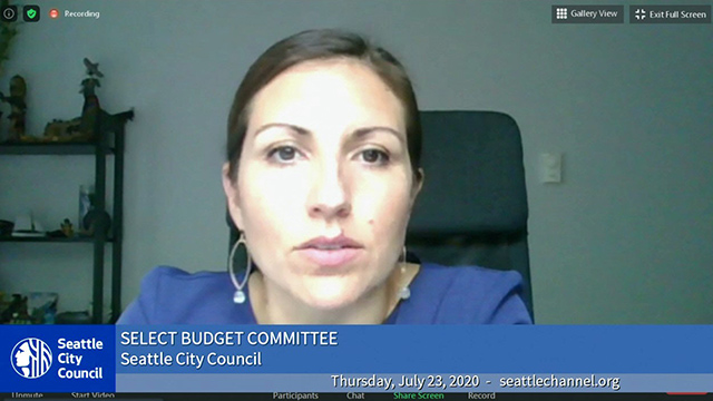 Select Budget Committee 7/23/20