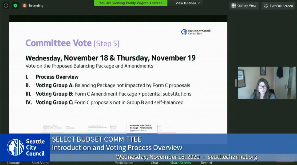 Select Budget Committee Session I 11/18/20