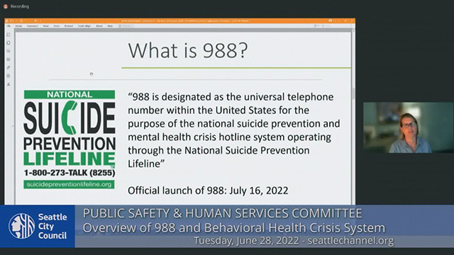 Public Safety & Human Services Committee 6/28/22