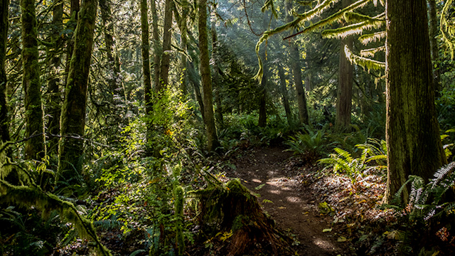 City Inside/Out: Conservation Futures Tax Hike