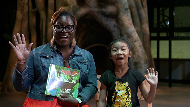 Look, Listen and Learn: Teachers Rock!