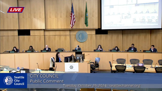 City Council 10/29/2024