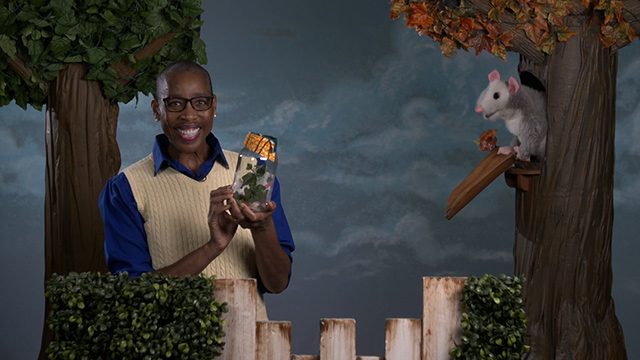 Look, Listen & Learn: The Story of You