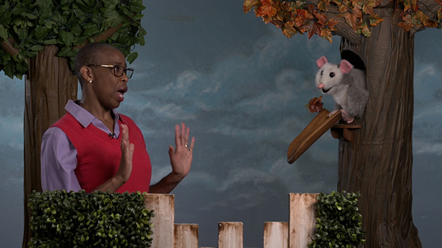 Look, Listen & Learn: Seeking Justice