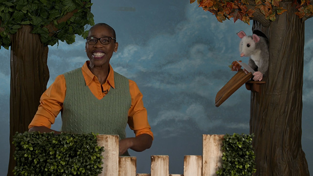 Look, Listen & Learn: Possum Finds His Solo